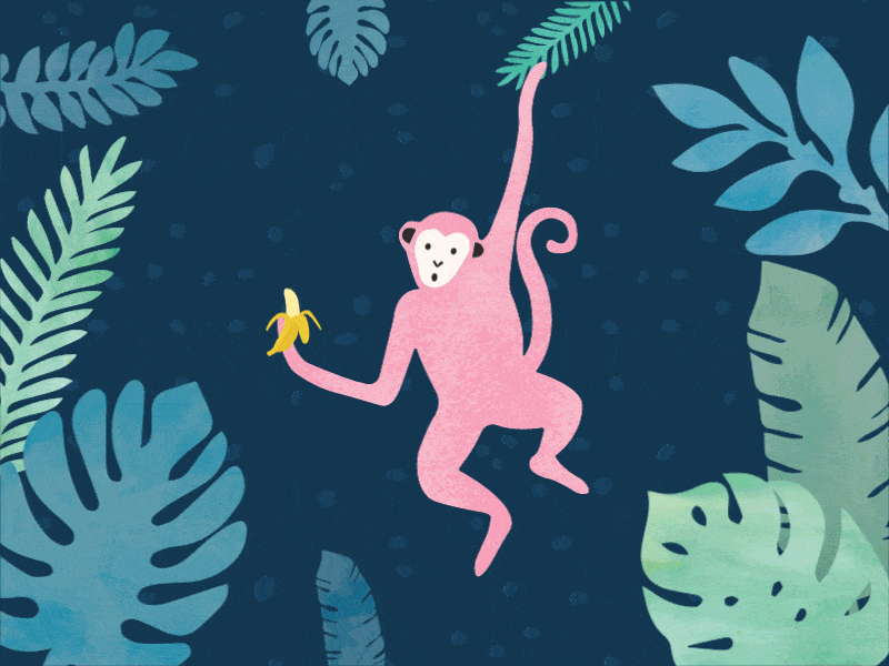 Monkeying Around after effects animal animation illustration jungle monkey monkey animation monkey gif monkey illustration pink textures