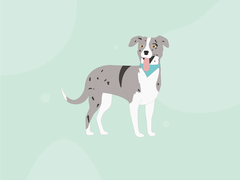 Dog illustration doggo puppy illustration dog