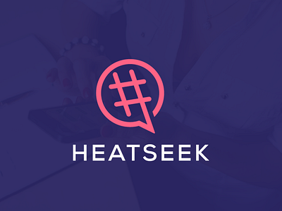 Heatseek log project branding entertainment logo design the art