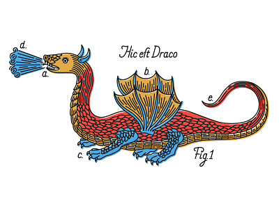 Hic est Draco 1 beast character dragon fantasy history illustration manuscript medieval