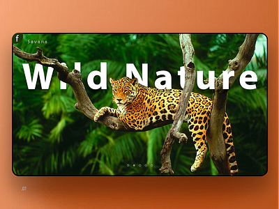 Wild Nature Page Concept agency art branding branding agency design design front end back end flotweb landing page site ui uidesign ux ux ui ux ui webdesign website
