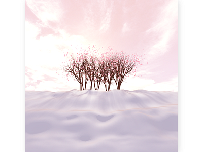 cherry blossom beam forest hill landscape lights pink purple ray season shadow silhouette snow spring sun tree winter