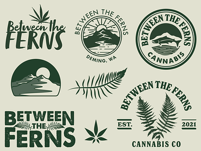 Between the Ferns branding design fern logo ferns logo graphic design illustration logo marijuana marijuana logo pacific northwest pnw pnw logo typography vector washington