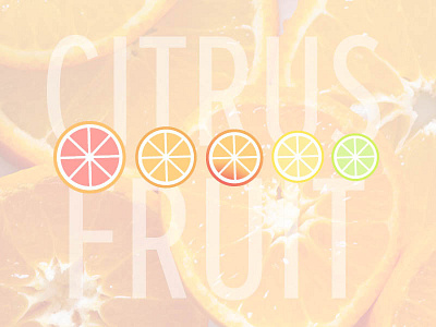 Citrus Vector Illustrations citrus fruit illustration illustrator vector