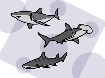 Shark Icon Set icons shark