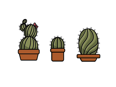 Cactus Trio cacti
