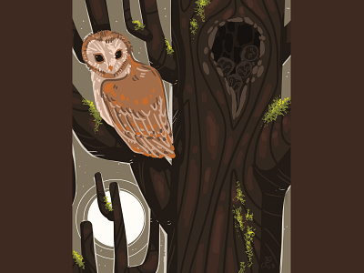 Owls animals botanical digital illustration illustration owls procreate storybook