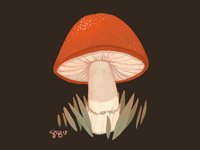 Lil' Shroomer botanical cute drawing digital illustration fungus illustration mushroom procreate