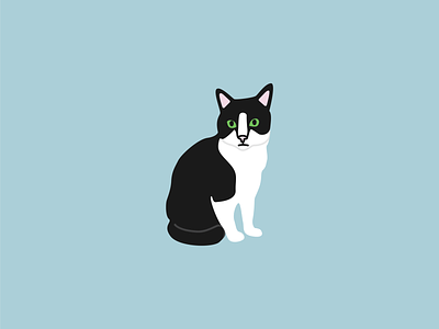 Holly Belle Sits cat cats design digital illustration freelancer graphic design graphic designer illustration illustrator modern illustration tuxedo cat vector illustration