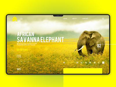 Elephant Ux/UI app branding design flat logo typography ui ux web website