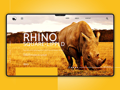 Rhino UX/UI animal app flat logo type ui ux wallpaper web website