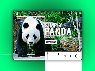 Simply PANDA app design flat nature ui ux wallpaper web website