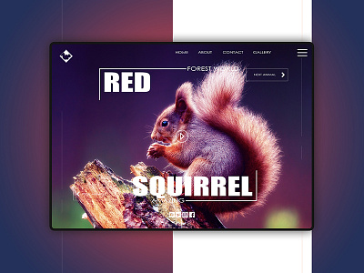 RED SQUIRREL