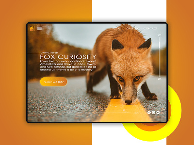 Curiosity Fox