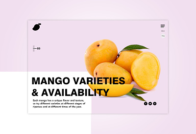Mango UX/UI app branding design flat landing page ui ux web website