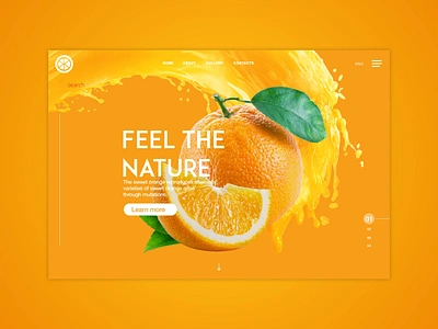 Oranges Landingpage app colors palette design food fruits landing page ui ux web website