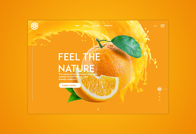 Oranges Landingpage app colors palette design food fruits landing page ui ux web website