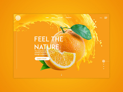 Oranges Landingpage