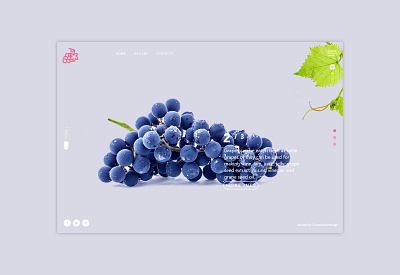 Grapes Fantastic design ui ux