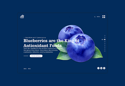 My BlueBerries fruits landing page ui ux web website