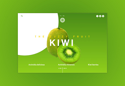 Kiwi Fuzzy Fruit app fruits landing page ui ui ux design ux website