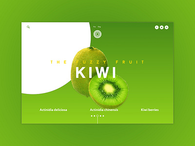 Kiwi Fuzzy Fruit