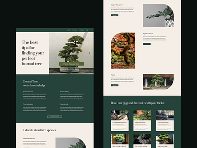 Website - Bonsai bonsai bonsaitrees clear ui design layout page design page layout simple layout ui uidesign uiux uxdesign webdesign webdesigner webdesigns website website design