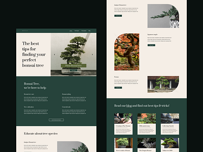 Website - Bonsai