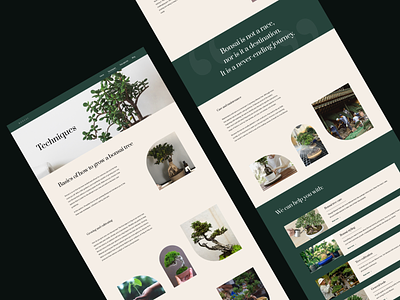Website - Bonsai Techniques bonsai figma figmadesign page page layout ui uidesign uiux ux webdesign webpage website website builder website concept