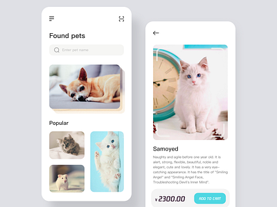 Family Pets design ui ux 设计