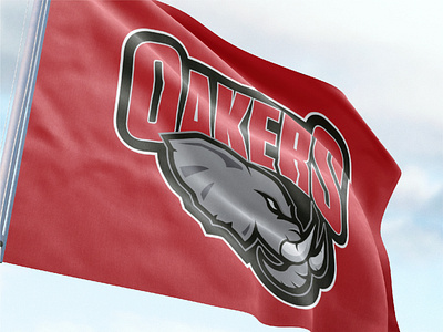 Coventry Oakers Flag