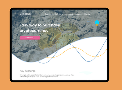 Coinsplug Onboarding design typography ui ui design web