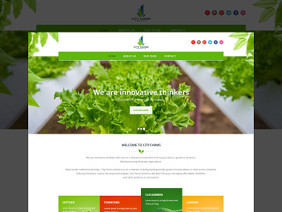 City Farms Landing Page design typography ui deisgn web wordpress design wordpress development