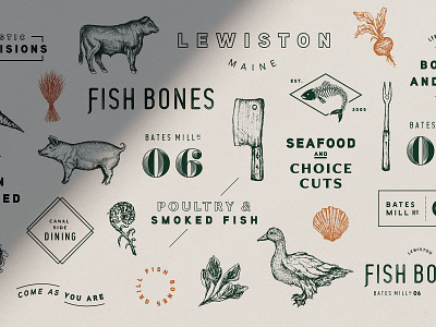 Fish Bones brand creation branding illustration restaurant restaurant branding typography