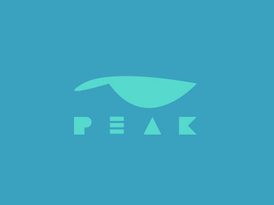 PEAK adventure boards branddev fromthefieldnotes mark outdoors peak shapes sketchtovector tothetop type