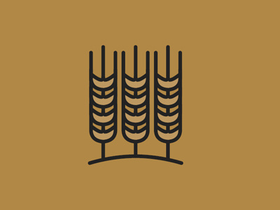 Wheat Fields ag boards colors farming fromthefieldnotes harvest lines mark production shapes sketchtovector wheatfields