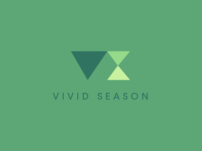 Vivid Season boards branddev colors filmstudio fromthefieldnotes mark production shapes sketchtovector type vividseason