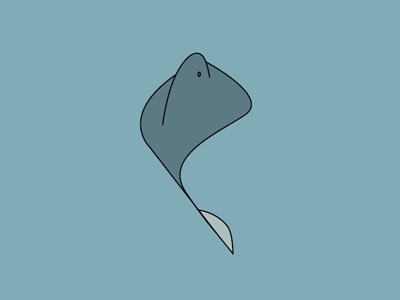 Stingray boards colors fish fromthefieldnotes inthedeep lines ocean shapes sketchtovector stingray