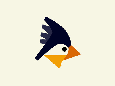 Bird animalvectors bird boards colors feathers flight fromthefieldnotes lines shapes sketchtovector