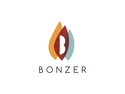 B O N Z E R app boards bonzer branddev colors fromthefieldnotes overlays shapes sketchtovector type