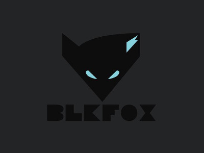 BLKFOX Brand actionsports blkfoxsports boards branddev colors extreme fromthefieldnotes pushthelimits shapes sketchtovector type