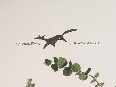Black Fox Trading Co. - Secondary Logo blackfoxtradingco branddev explore fromthefieldnotes handdrawn logovariants market stilllife workmark