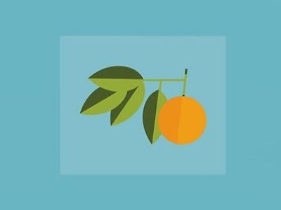 c i t r u s citrus colors foodvectors fruit intheorchard labeldesign lines oranges overlays shapes sketchtovector