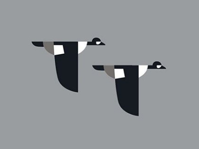 Barrow Ducks animalvectors barrow barrowducks colors ducks fromthefieldnotes inflight ofthepond shapes sketchtovector