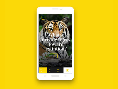 National Geographic TV Mobile animation app art clean design flat minimal mobile responsive ui ux web website