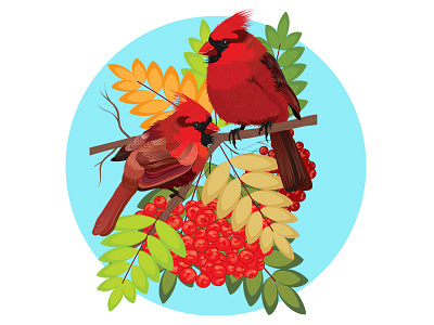 Bird Red Cardinal art bird calendar concept design fauna flat illustration illustrator nature red vector winter