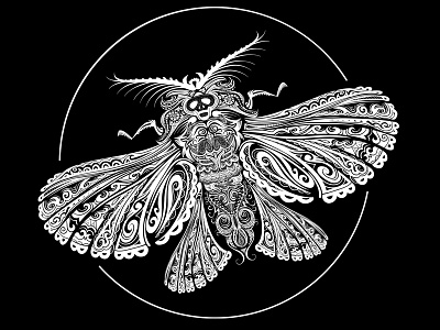 Moth art black white concept design graphic illustration illustrator night t shirt vector