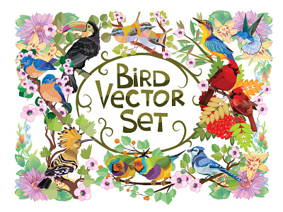 Bird vector set art bird concept design flat illustration illustrator set vector