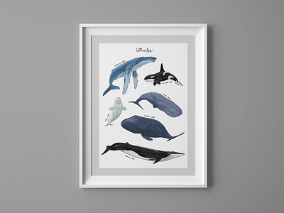 Whale poster