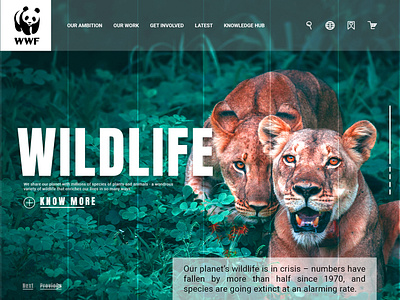 WWF - Lading Page design